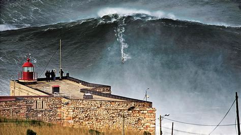 malia mcnamara|Tiny Dude, Giant Wave .